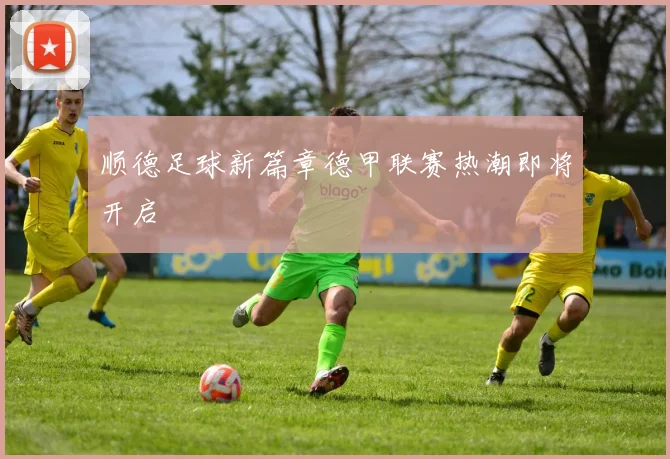 顺德足球新篇章德甲联赛热潮即将开启