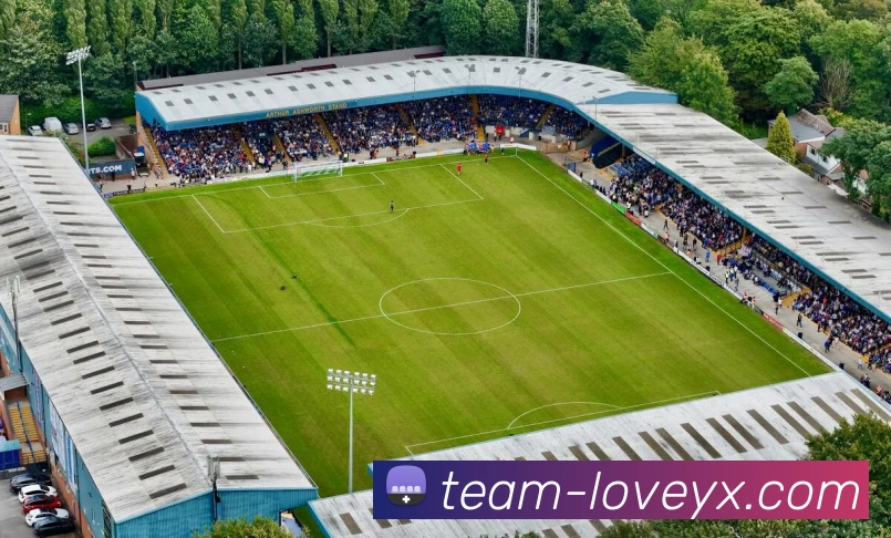 爱游戏服务体系